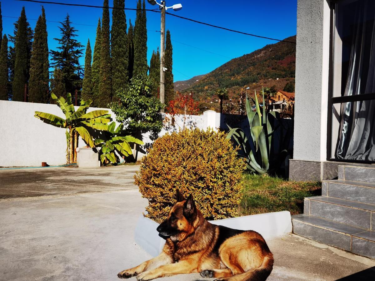 Gega Hotel Gagra Bagian luar foto
