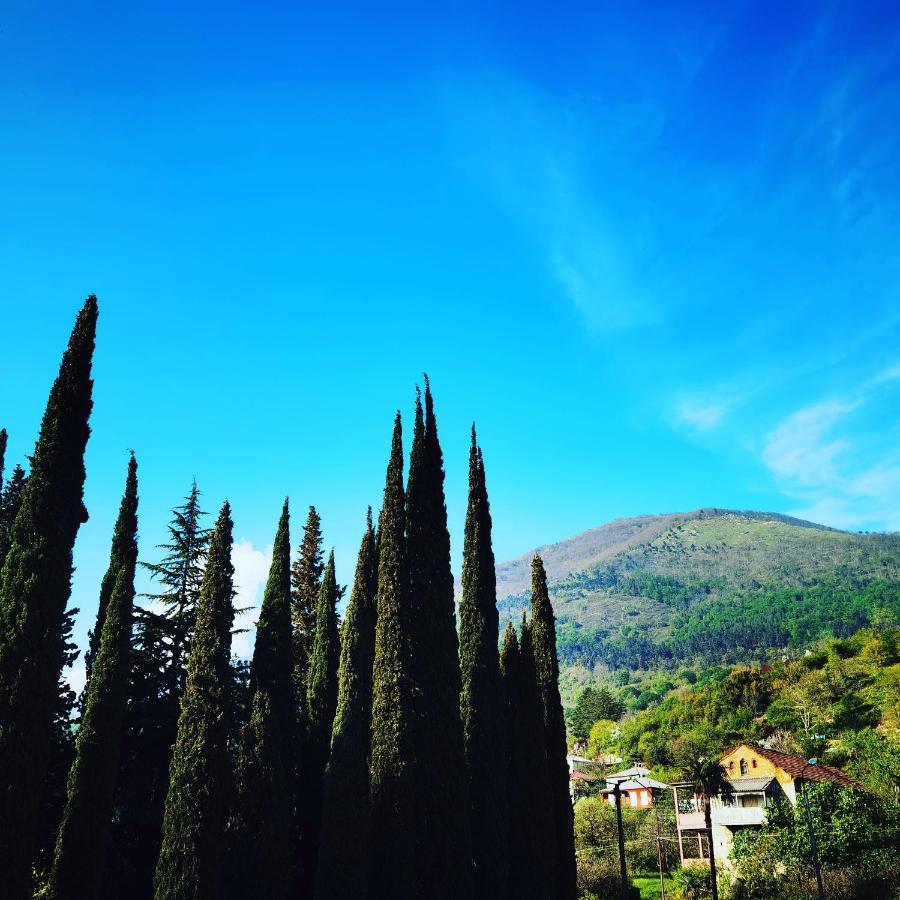 Gega Hotel Gagra Bagian luar foto