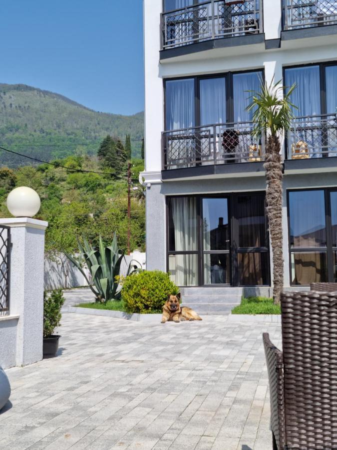 Gega Hotel Gagra Bagian luar foto