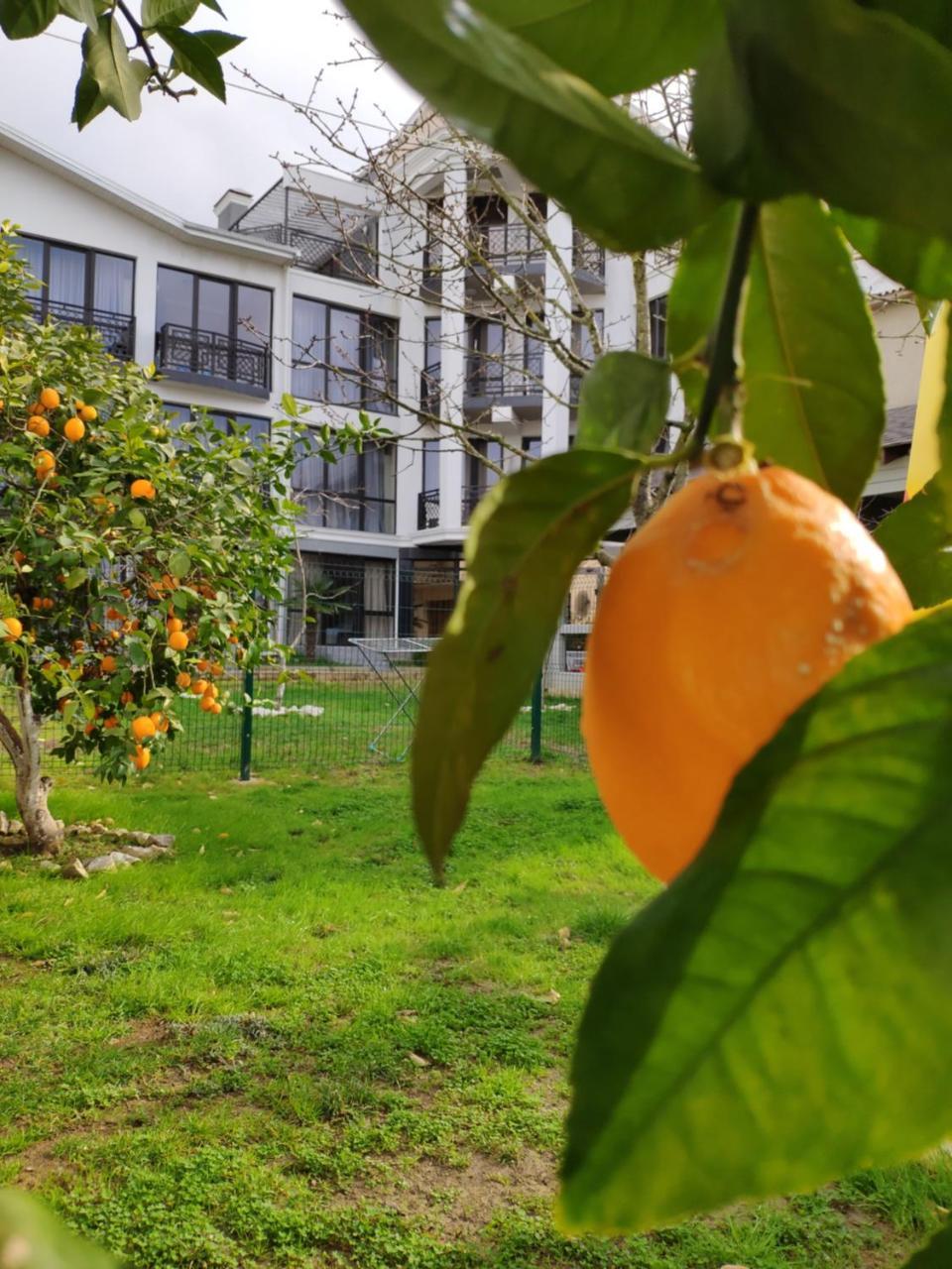 Gega Hotel Gagra Bagian luar foto